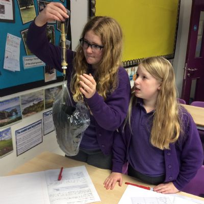 Larch Class